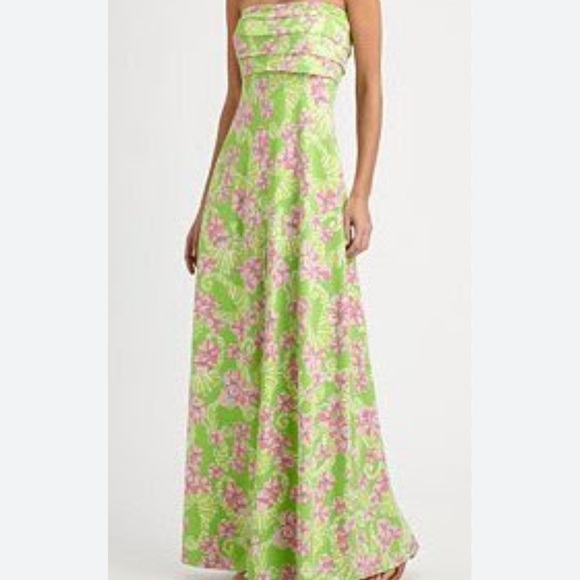 Lilly Pulitzer maxi dress size Large - Like new - Picture 11 of 11